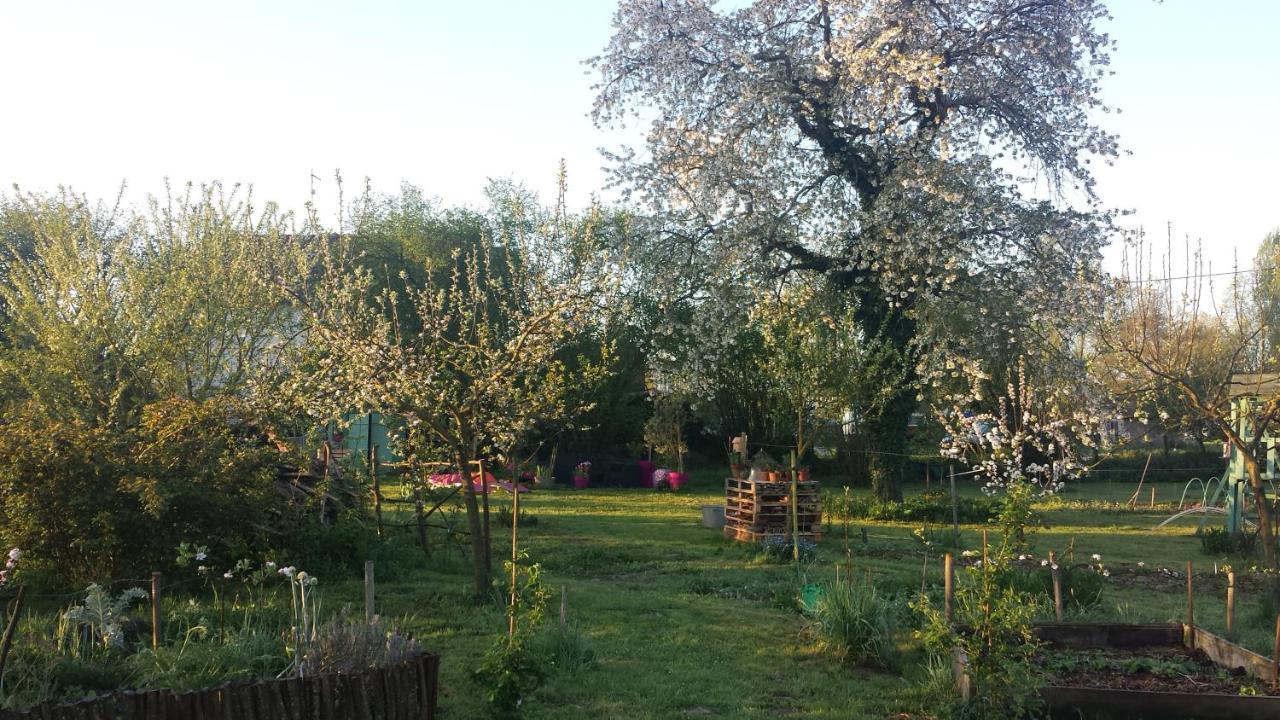 Chambre D'Hotes A La Campagne Nevers Challuy Bagian luar foto